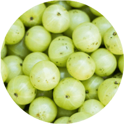 Amla